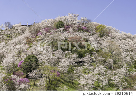岡山縣三崎町宮澄公園 89210614