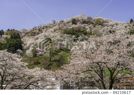 岡山縣三崎町宮澄公園 89210617