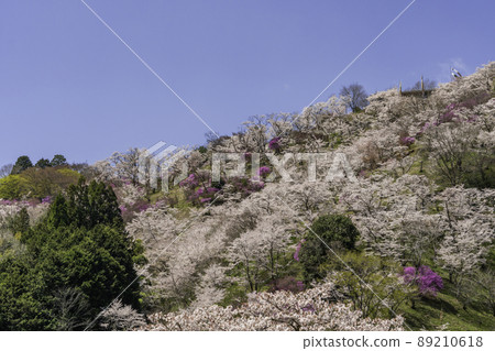 岡山縣三崎町宮澄公園 89210618