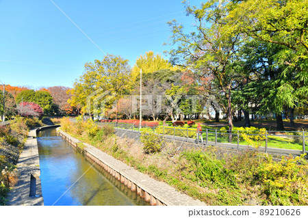 Narien 橋 / 從善福寺川上游看（東京都杉並區）[2021.12] 89210626