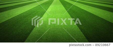 Soccer field with green grass. Sport lawn background 89210667
