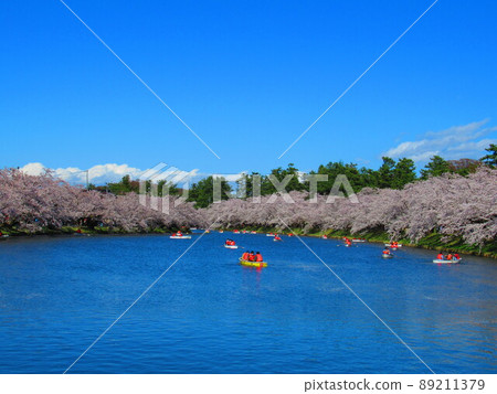 Hirosaki Park Sakura 89211379