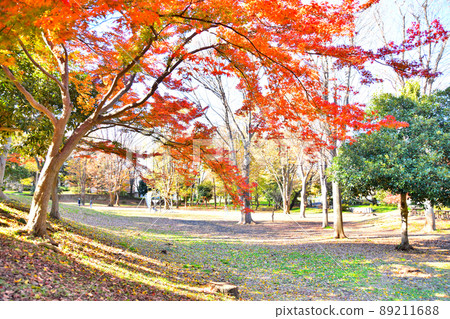 東京都和田堀公園 / Harappa Square（東京都杉並區） [2021.12] 89211688