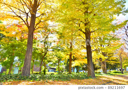 Tokyo Metropolitan Wadabori Park / Around Harappa Square (Suginami-ku, Tokyo) [2021.12] 89211697