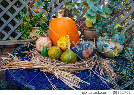 Decoration with various pumpkins Decoration with various pumpkins 89211701