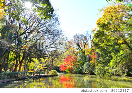 Tokyo Metropolitan Wadabori Park (Suginami-ku, Tokyo) [2021.12] 89212517
