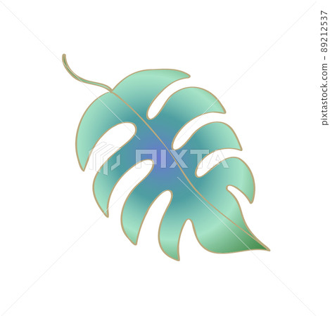 Monstera leaf illustration Monstera leaf illustration 89212537