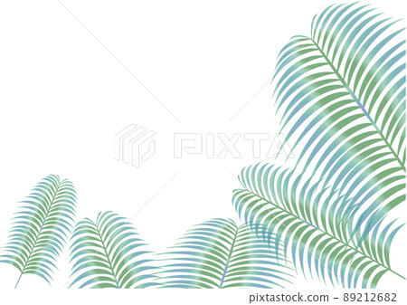 棕櫚葉的框架圖 89212682