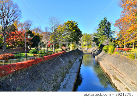 大成橋/善福寺川上游（東京都杉並區）[2021.12] 89212793