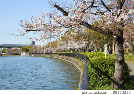 沿著大阪大川,一排櫻花樹 沿著大阪大川,一排櫻花樹 89213252