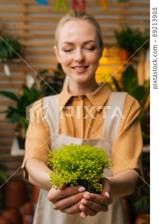 Vertical portrait of pretty female florist in apron holding in hands pot with Soleirolia plant standing in floral shop, looking down. Young woman gardener posing with houseplants at home. 89213988