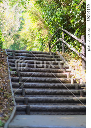 Walking path in the forest, wooden stairs 89214169