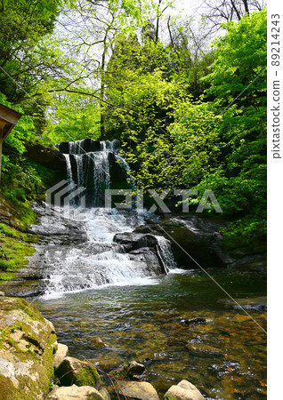 紀久保大瀧椿町 紀久保大瀧椿町 89214243