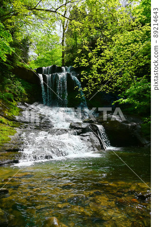 紀久保大瀧新鮮綠椿町 89214643