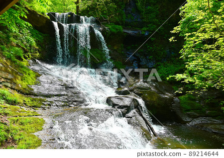 紀久保大瀧新鮮綠椿町 89214644