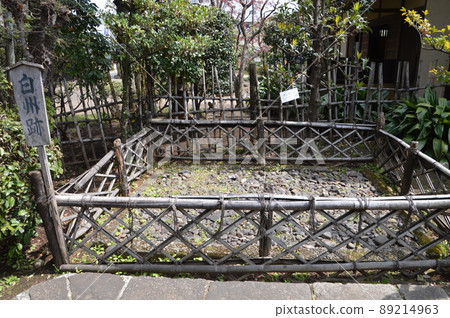 白須踪跡 89214963