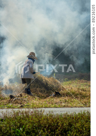 weeding weeding 89216105