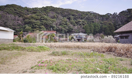 日本海和玉川漁港 日本海和玉川漁港 89216188
