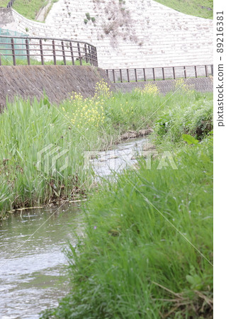 Flowing stream 89216381