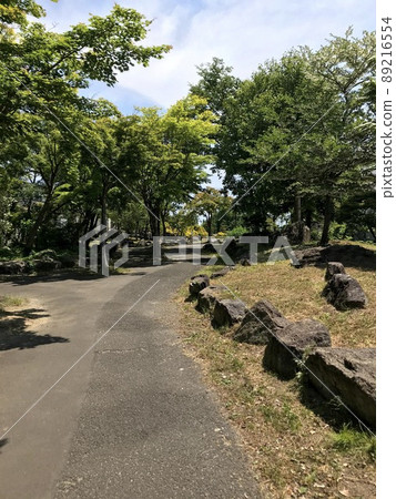 六月長廊 89216554