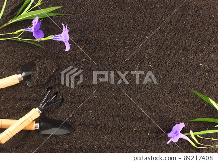 Top view of gardening tools and beautiful flower on soil. Agriculture background concept with copy space. World envionment day background. Top view of gardening tools and beautiful flower on soil. Agriculture background concept with copy space. World envionment day background. 89217408
