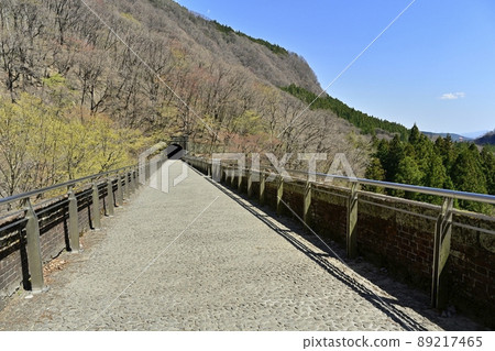 Track trace of the third brick bridge (Megane Bridge) of the abandoned line trace between Usui Pass and Yokogawa on the former Shin-Etsu Main Line Track trace of the third brick bridge (Megane Bridge) of the abandoned line trace between Usui Pass and Yokogawa on the former Shin-Etsu Main Line 89217465