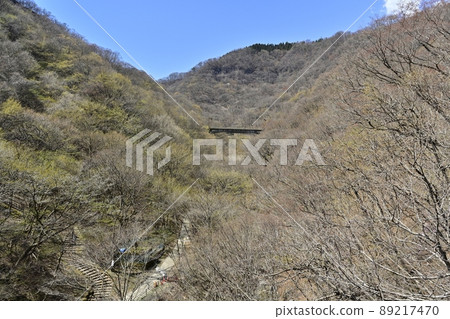 舊信越乾線新線臼井峠和橫河之間的廢棄鐵路橋 89217470