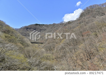 舊信越乾線新線臼井峠和橫河之間的廢棄鐵路橋 舊信越乾線新線臼井峠和橫河之間的廢棄鐵路橋 89217471