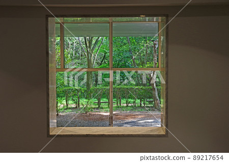 從室內玻璃窗欣賞戶外自然和綠樹 89217654