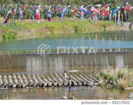 在北九州市小倉南區紫崎川上，帶著鯉魚旗在水中玩耍的孩子 89217692