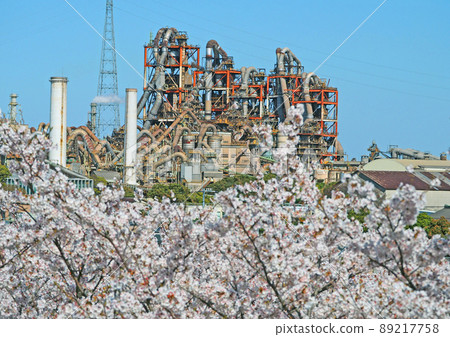 從福岡縣神田町著名的櫻花勝地向山公園遠眺海邊工廠 從福岡縣神田町著名的櫻花勝地向山公園遠眺海邊工廠 89217758