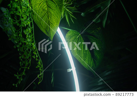 Neon lamp among green foliage. Stylish decor. 89217773
