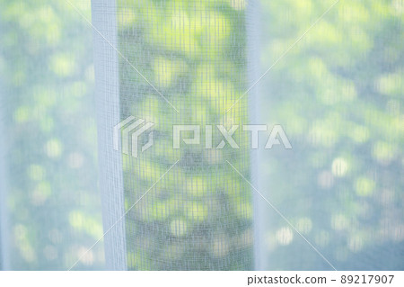 Close up curtain window with green garden background Close up curtain window with green garden background 89217907