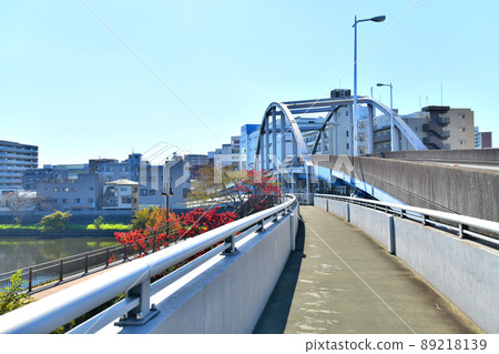 船戶大橋/新石川地區（東京都板橋區）[2021.11] 89218139