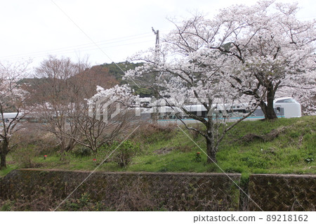 Sakura scenery of Yamanakadani, Hannan City, Osaka Prefecture Sakura scenery of Yamanakadani, Hannan City, Osaka Prefecture 89218162