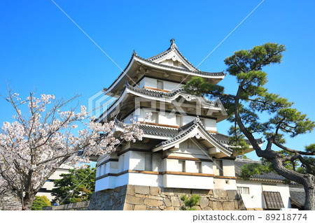 [香川縣]天氣晴朗的高松城，月見砲塔和盛開的櫻花（玉藻公園） 89218774