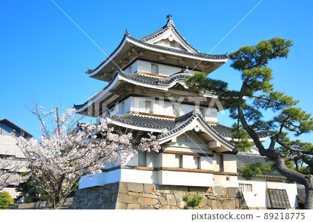 [香川縣]天氣晴朗的高松城，月見砲塔和盛開的櫻花（玉藻公園） 89218775