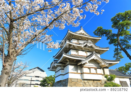 [Kagawa Prefecture] Takamatsu Castle in fine weather, Tsukimi turret and cherry blossoms in full bloom (Tamamo Park) 89218792