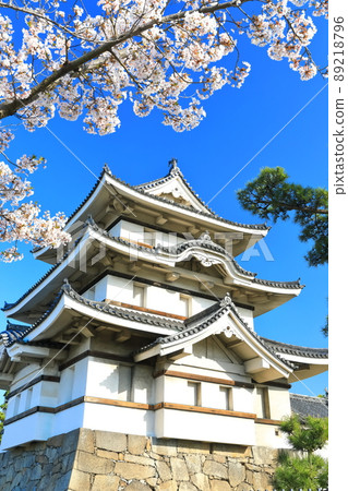 [Kagawa Prefecture] Takamatsu Castle in fine weather, Tsukimi turret and cherry blossoms in full bloom (Tamamo Park) 89218796