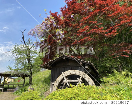Autumn leaves trees and a water wheel Autumn leaves trees and a water wheel 89219657