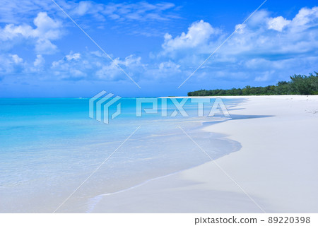 Ouvea美麗的海灘 89220398