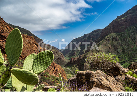 Amazing View on Barranco de Guayadeque, Gran Canaria, Canary Island, Spain, Europe Amazing View on Barranco de Guayadeque, Gran Canaria, Canary Island, Spain, Europe 89221815
