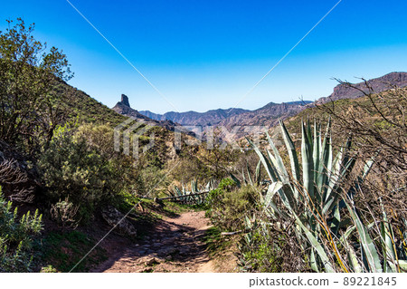 Valley of Tejeda at Gran Canaria, Spain. Hiking along the Barranco de Tejeda Valley of Tejeda at Gran Canaria, Spain. Hiking along the Barranco de Tejeda 89221845