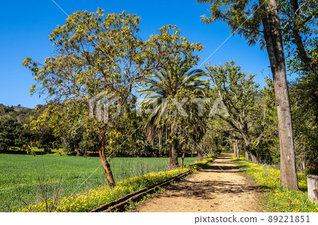 Flowers and trees in the Finca de Osorio Botanical Park near Teror, Gran Canaria Island, Spain Flowers and trees in the Finca de Osorio Botanical Park near Teror, Gran Canaria Island, Spain 89221851