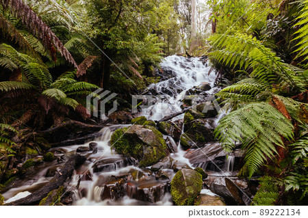 Cora Lynn Falls in Marysville Australia Cora Lynn Falls in Marysville Australia 89222134