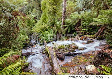 Cora Lynn Falls in Marysville Australia Cora Lynn Falls in Marysville Australia 89222137