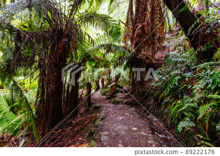 La La Falls in Warburton Australia La La Falls in Warburton Australia 89222176