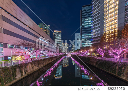 目黑川冬季櫻花燈飾 東京冬景 89222950