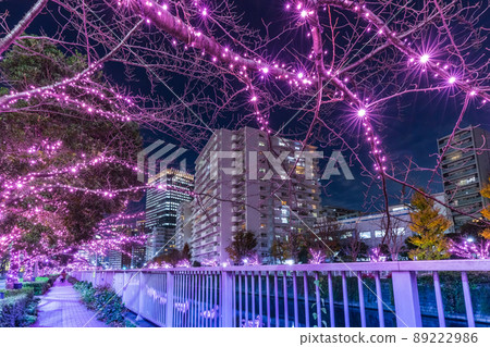 目黑川冬季櫻花燈飾 東京冬景 89222986