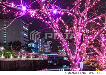 目黑川冬季櫻花燈飾 東京冬景 89223439